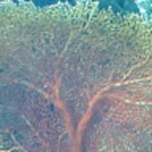 Meet your Posher, Meh